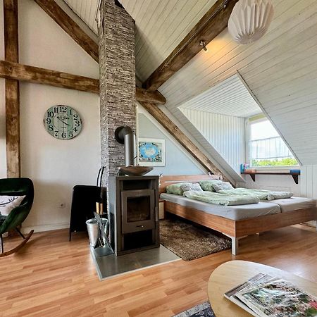 Hof Vierzehnender Im Hohen Venn - 70Qm Fachwerk-Studio - Grosses Wohn-Schlafzimmer Mit Dachterrasse Und Kaminofen - Separate Kueche - Perfekt Fuer Paare - Monschau - Eifel - Hunde Willkommen - Islandpferde Kültér fotó