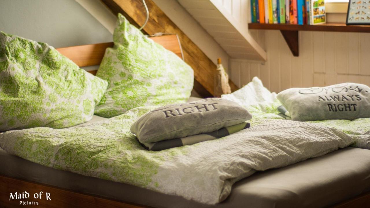 Hof Vierzehnender Im Hohen Venn - 70Qm Fachwerk-Studio - Grosses Wohn-Schlafzimmer Mit Dachterrasse Und Kaminofen - Separate Kueche - Perfekt Fuer Paare - Monschau - Eifel - Hunde Willkommen - Islandpferde Kültér fotó