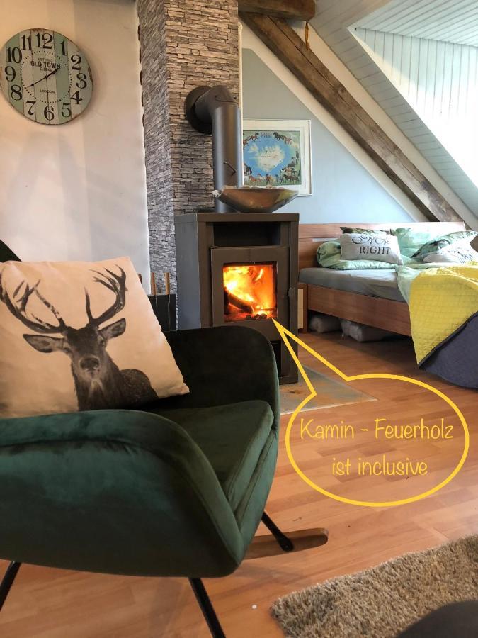 Hof Vierzehnender Im Hohen Venn - 70Qm Fachwerk-Studio - Grosses Wohn-Schlafzimmer Mit Dachterrasse Und Kaminofen - Separate Kueche - Perfekt Fuer Paare - Monschau - Eifel - Hunde Willkommen - Islandpferde Kültér fotó