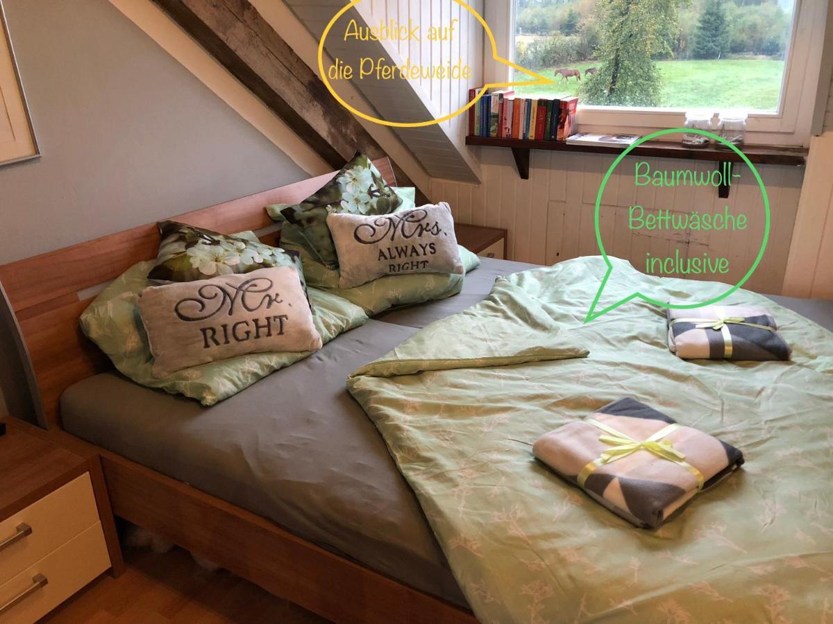 Studio - Grosses Wohn-Schlafzimmer - Dachterrasse - Kamin - Kuche - Hohes Venn - Monschau - Eifel - Hunde Willkommen Beim Hof Vierzehnender Kültér fotó