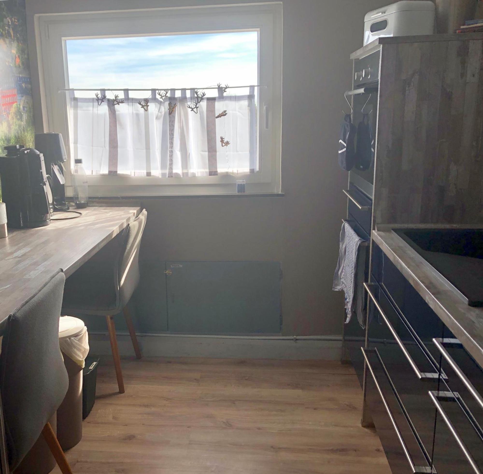 Hof Vierzehnender Im Hohen Venn - 70Qm Fachwerk-Studio - Grosses Wohn-Schlafzimmer Mit Dachterrasse Und Kaminofen - Separate Kueche - Perfekt Fuer Paare - Monschau - Eifel - Hunde Willkommen - Islandpferde Kültér fotó