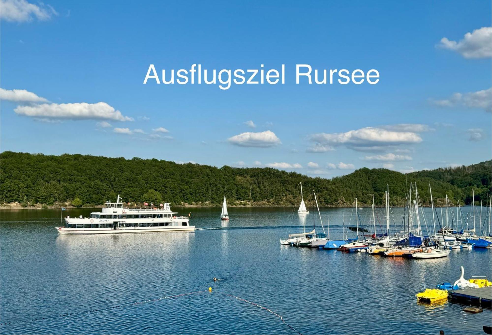 Hof Vierzehnender Im Hohen Venn - 70Qm Fachwerk-Studio - Grosses Wohn-Schlafzimmer Mit Dachterrasse Und Kaminofen - Separate Kueche - Perfekt Fuer Paare - Monschau - Eifel - Hunde Willkommen - Islandpferde Kültér fotó