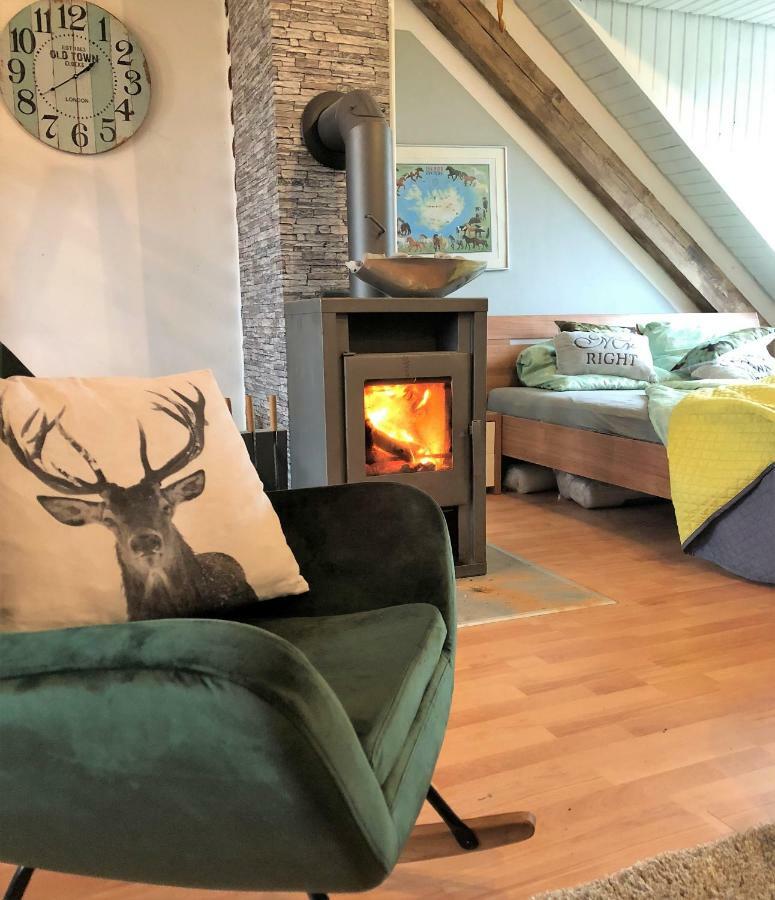 Hof Vierzehnender Im Hohen Venn - 70Qm Fachwerk-Studio - Grosses Wohn-Schlafzimmer Mit Dachterrasse Und Kaminofen - Separate Kueche - Perfekt Fuer Paare - Monschau - Eifel - Hunde Willkommen - Islandpferde Kültér fotó