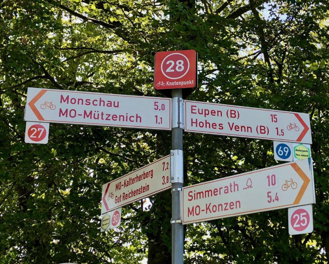 Hof Vierzehnender Im Hohen Venn - 70Qm Fachwerk-Studio - Grosses Wohn-Schlafzimmer Mit Dachterrasse Und Kaminofen - Separate Kueche - Perfekt Fuer Paare - Monschau - Eifel - Hunde Willkommen - Islandpferde Kültér fotó