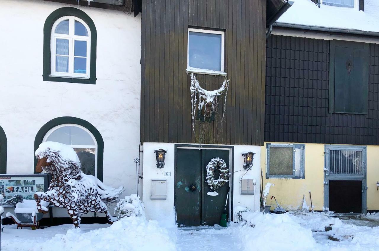 Studio - Grosses Wohn-Schlafzimmer - Dachterrasse - Kamin - Kuche - Hohes Venn - Monschau - Eifel - Hunde Willkommen Beim Hof Vierzehnender Kültér fotó